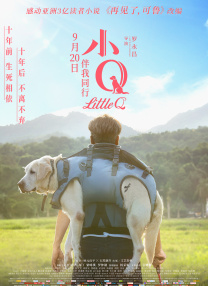 国产中文在线观看